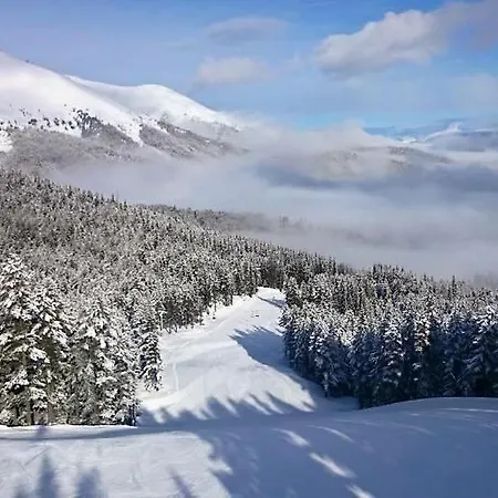 Apartment Lift - Fortuna