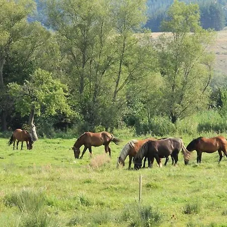 Apartamento Lift - Fortuna