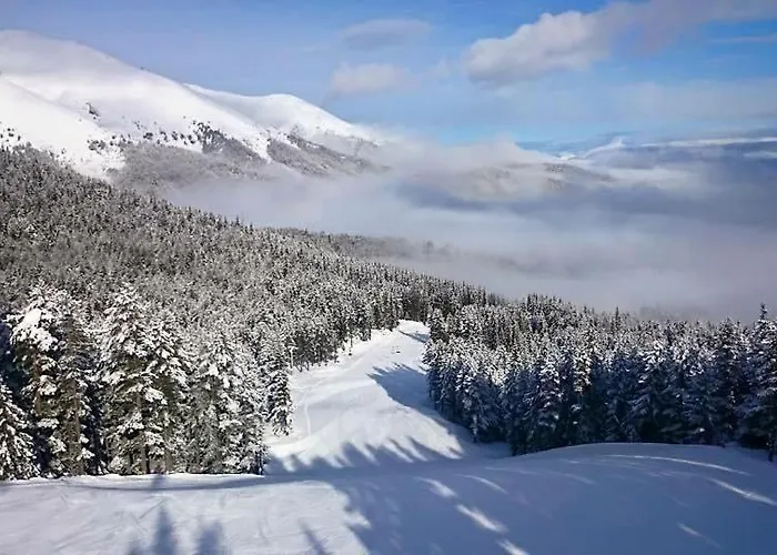 Apartment Lift - Fortuna