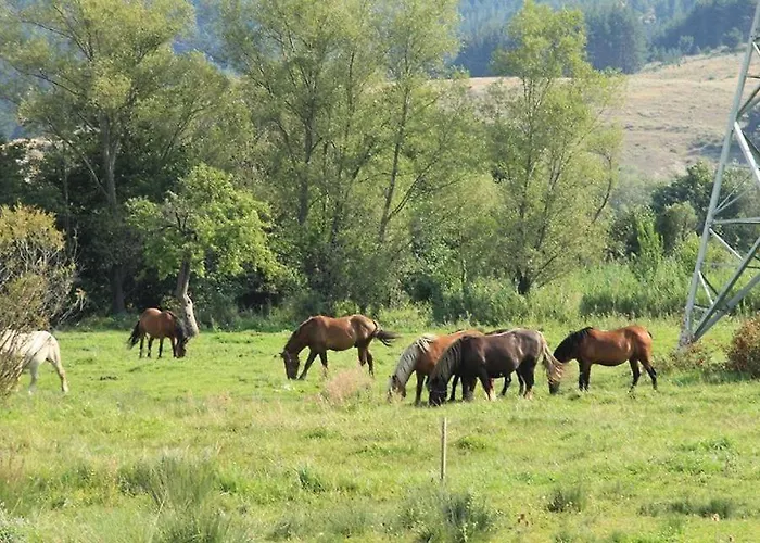 Apartment Lift - Fortuna